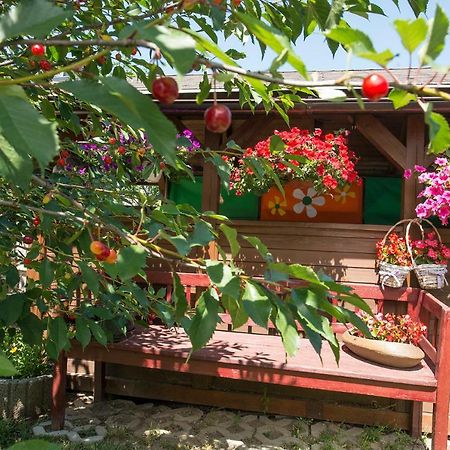 Privat Jonas Villa Štrba Dış mekan fotoğraf